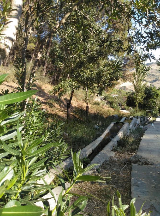 Casa Montelucia Montecorto Εξωτερικό φωτογραφία